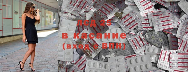 стаф Ессентукская